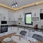 Luxury Detached With Large Garden And Private Pool In Goecek Inlice 别墅 费特希耶